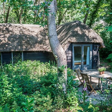 Aa Casia Vakantiehuis Zeegse Εξωτερικό φωτογραφία